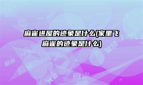 香港北面見水地區 麻雀进屋什么意思